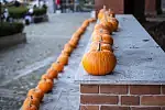 Koniec października w Garnizonie. Smaki, moda i zabawa w duchu Halloween.