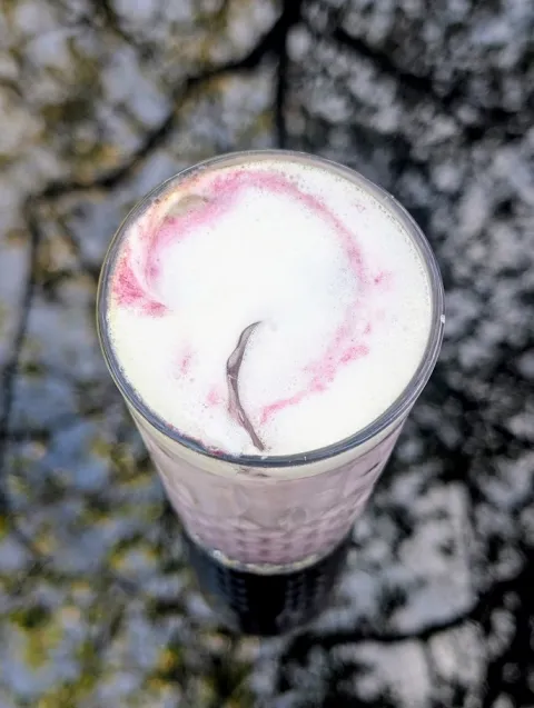 Spokój Cafe: matcha ube z syropem lawendowym