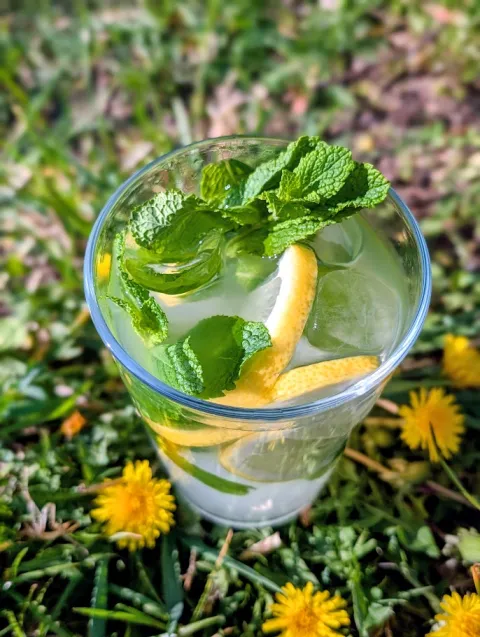 Spokój Cafe: lemoniada