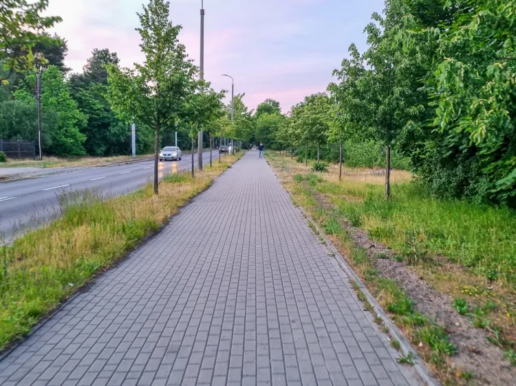 Chodnik, na którym zostanie dopuszczony ruch rowerowy.