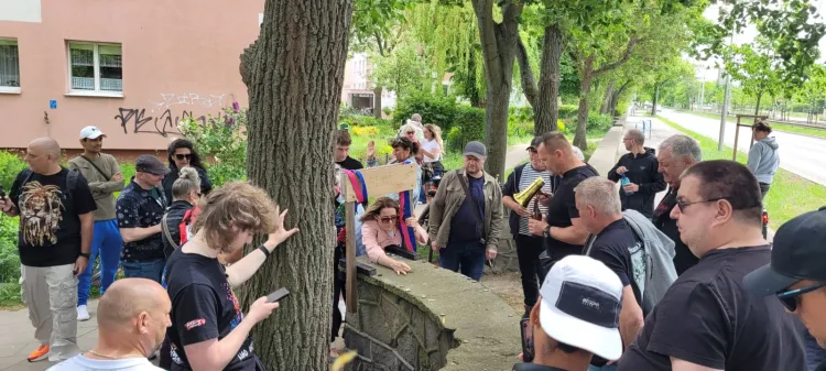 Tour de Mur to coroczna impreza miłośników gry w kapsle.