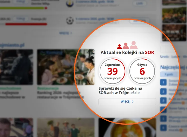 Nowy serwis pozwala sprawdzić aktualną liczbę oczekujących na pomorskich SORach. 