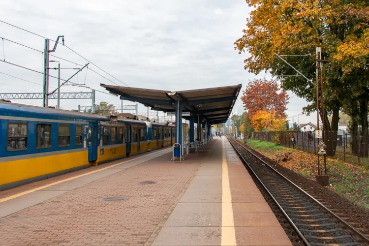 Na obu przystankach pojawią się nowe wiaty, zdecydowanie dłuższe od obecnych. Na zdjęciu przystanek Gdańsk Zaspa.