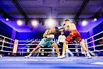 Sheraton Boxing Night 
