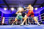 Sheraton Boxing Night 