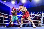 Sheraton Boxing Night 