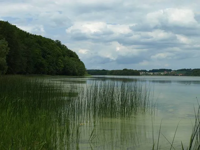 Widok na jezioro Tuchomskie od strony południowej