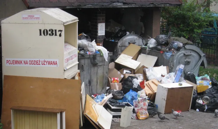 Rewolucja śmieciowa spowoduje, że segregacja odpadów będzie niepotrzebna - podkreśla nasz czytelnik.