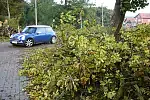 Silny wiatr złamał drzewo rosnące przy ul. Zwierzynieckiej na Jasieniu. Przewrócony konar zablokował tę ulicę.