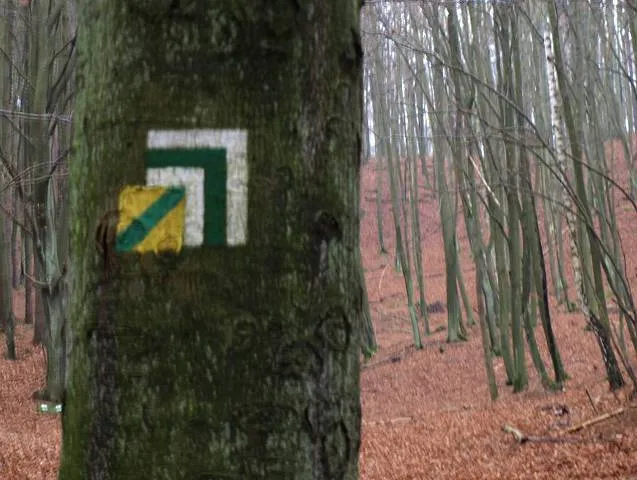 Szlak Borsuka oznakowany jest żółtym kwadratem przekreślonym zielonym ukośnym pasem.