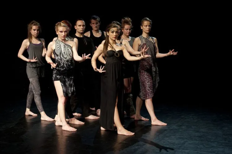 W spektaklu "Wild Project" wystąpili adepci (uczestnicy tegorocznej audycji STT) i tancerze Sopockiego Teatru Tańca. Powstała ciekawa mieszanka różnych stylów tanecznych.